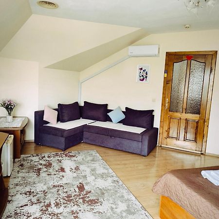 Hotel Delfin Mukaçeve Dış mekan fotoğraf